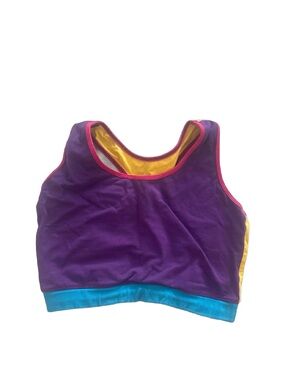 Colorblock Purple Sports Bra with Yellow Lining and Blue Band